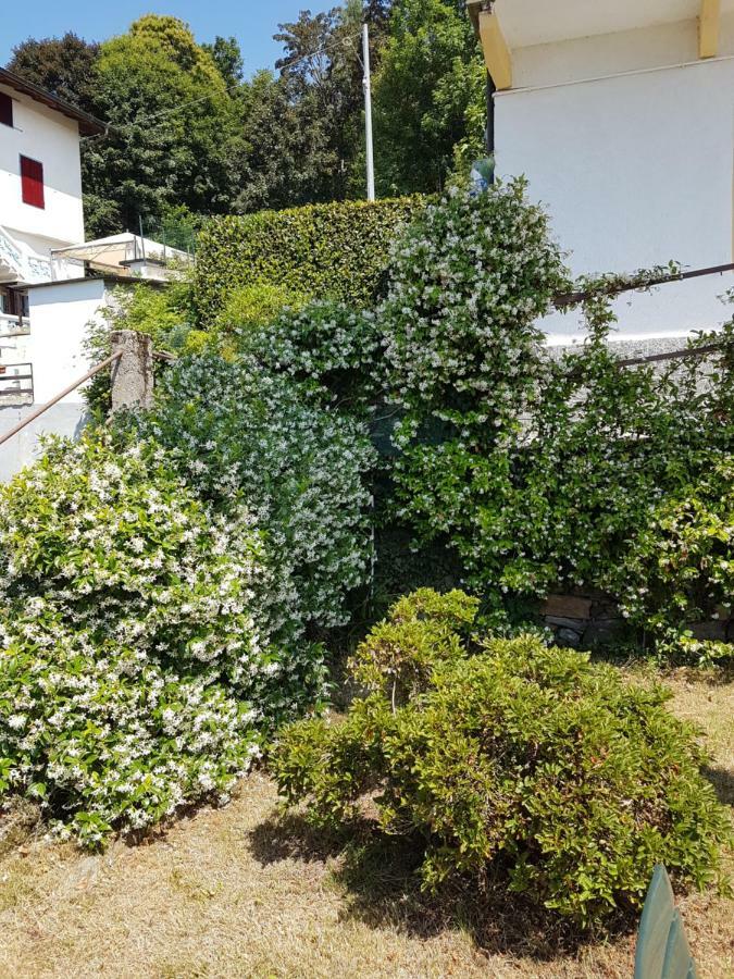 미아지나 La Palma 빌라 외부 사진